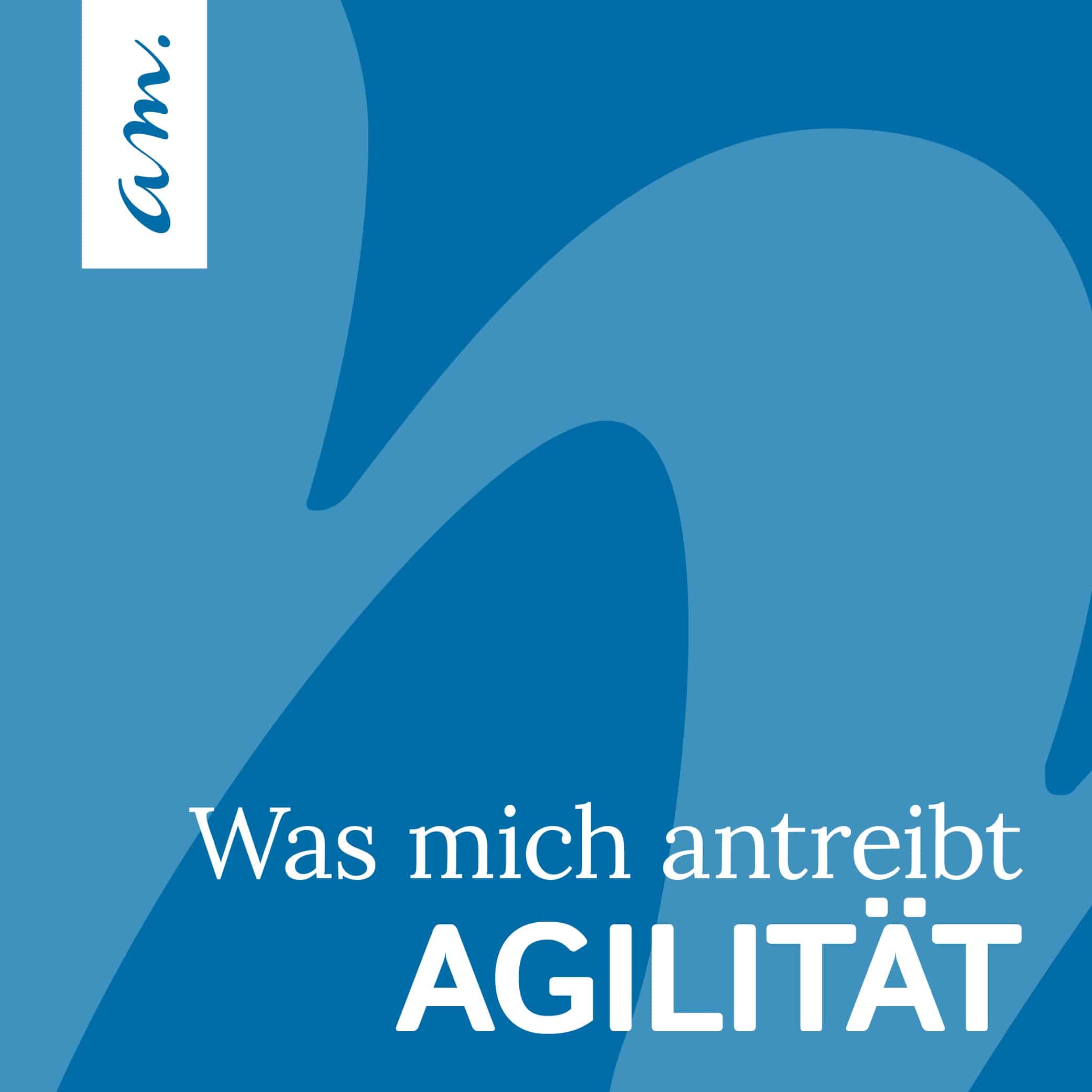 Was mich antreibt: Agilität